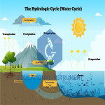 Water Cycle